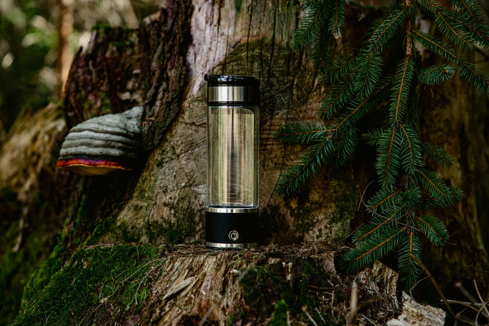 Stylish Lantern on Forest Log A modern lantern with a clear glass body and sleek black base, placed on a mossy log in a forest setting, surrounded by pine branches and a mushroom.
