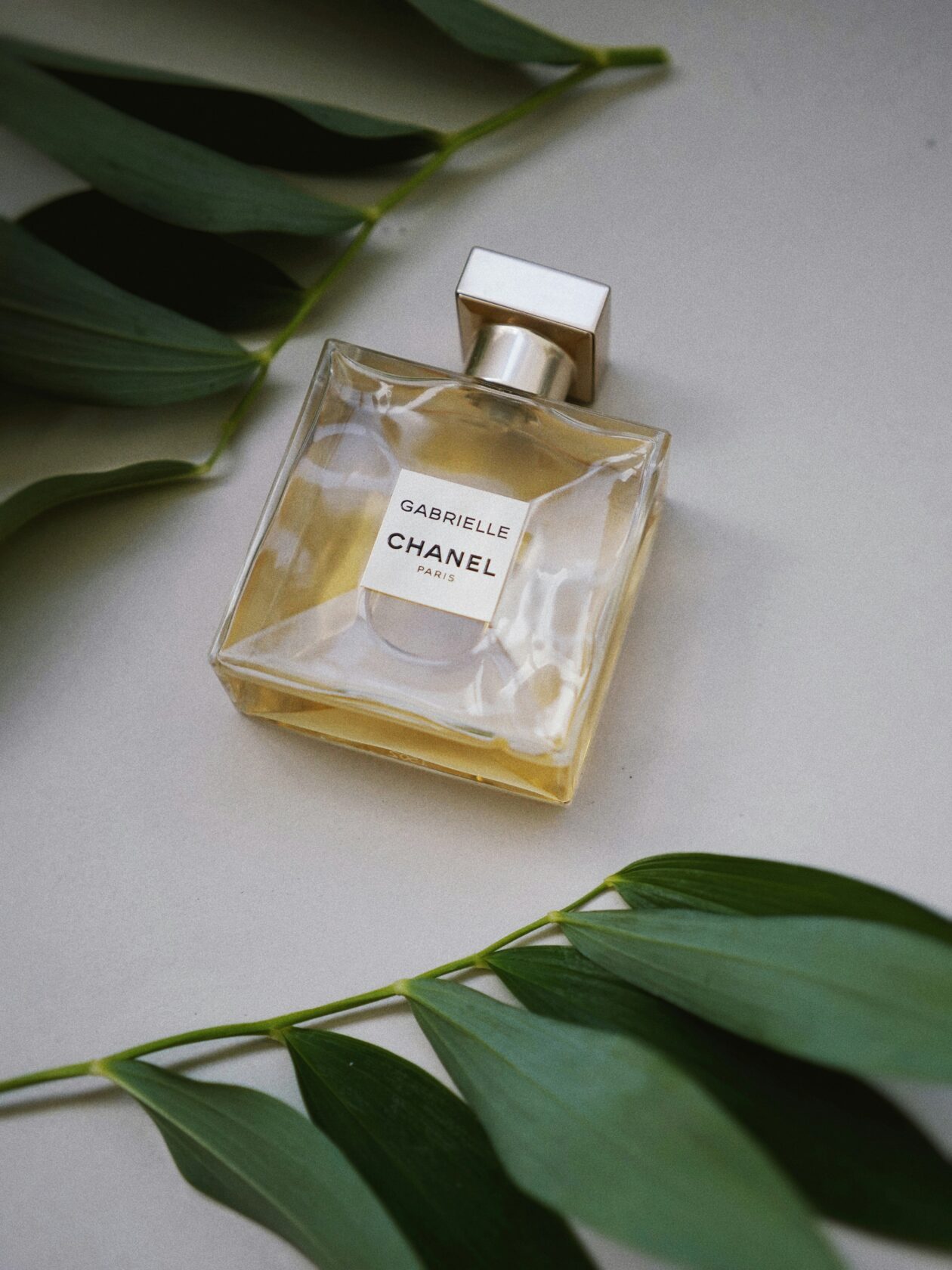 Chanel Gabrielle Perfume Bottle A clear glass bottle of Chanel Gabrielle perfume with a silver square cap, placed on a light surface alongside green leaves.