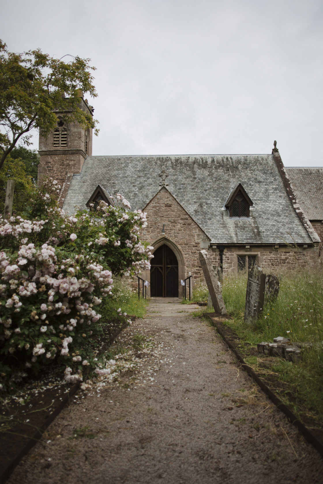 Pathway leading to a stone church with a tower, surrounded by blooming pink roses and a grassy cemetery area.